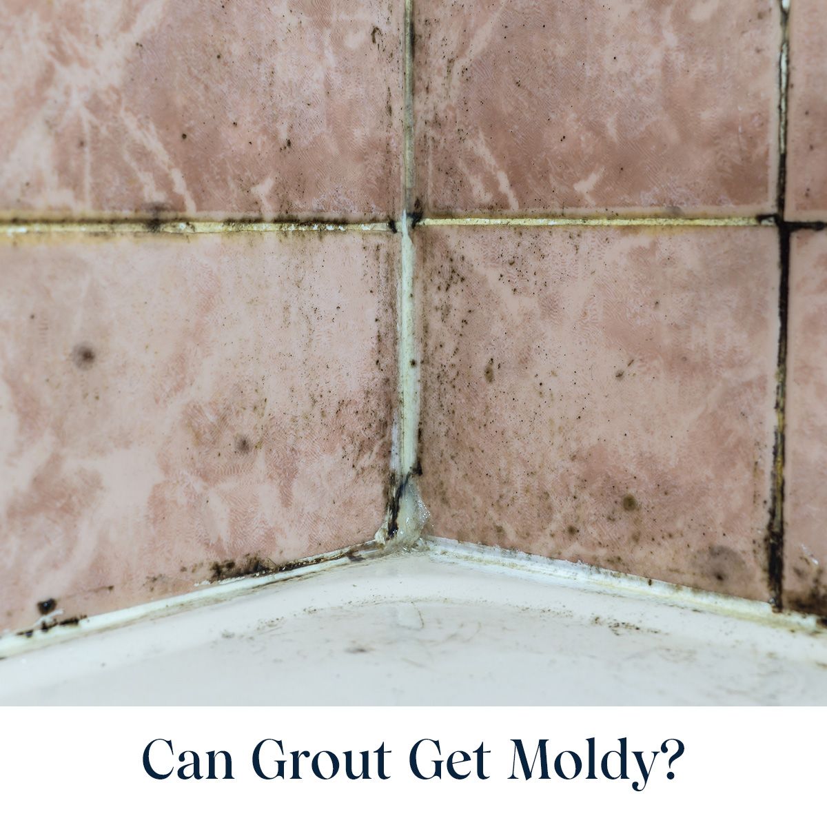 Can Grout Get Moldy